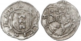 Ks. Opawskie, Wacław II, Mikołaj V... (1433-1456) Halerz Opawa - tarcze R3