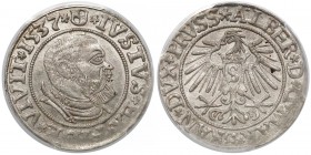 Prusy, Albrecht Hohenzollern, Grosz Królewiec 1537 - PCGS MS62