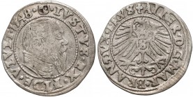 Prusy, Albrecht Hohenzollern, Grosz Królewiec 1548 (R3) R3
