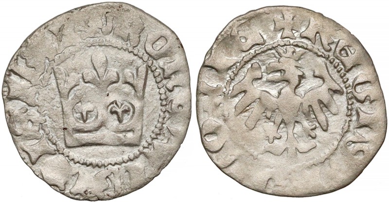 Władysław II Jagiełło, Półgrosz Kraków - bez znaków - typ XIV
 Ostatni typ półg...