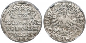 Zygmunt I Stary, Grosz Kraków 1527 - NGC MS61