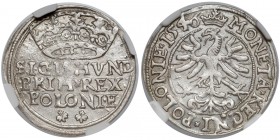 Zygmunt I Stary, Grosz Kraków 1546 - NGC AU55 R3
