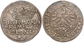 Zygmunt I Stary, Grosz Kraków 1546 - listki R3