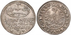 Zygmunt I Stary, Grosz Kraków 1546 - RÓŻE w koronie - B. RZADKI R7