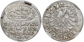 Zygmunt I Stary, Grosz Kraków 1547 ST - NGC MS61