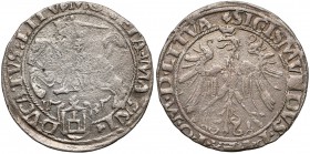 Zygmunt I Stary, Grosz Wilno 1535 - listopad - cienki OGON - bardzo rzadki RRR