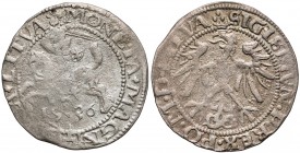 Zygmunt I Stary, Grosz Wilno 1536 - styczeń - MAŁE Kolumny - rzadki RRR