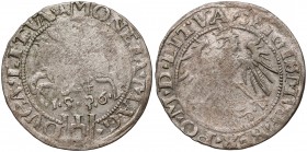 Zygmunt I Stary, Grosz Wilno 1536 - luty - litera F - późny Orzeł