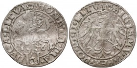 Zygmunt I Stary, Grosz Wilno 1536 - kwiecień - litera A - rzadki