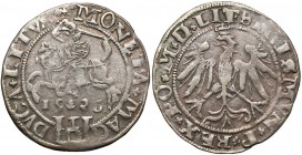 Zygmunt I Stary, Grosz Wilno 1536 - czerwiec - litera I - listek w dacie
