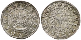 Zygmunt I Stary, Półgrosz Kraków BEZ DATY