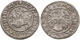 Zygmunt I Stary, Półgrosz Wilno 1521 - DVCISLITVANIE - rzadki RR