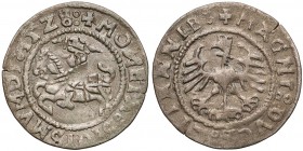 Zygmunt I Stary, Półgrosz Wilno 1528 bez V - z błędem DVCS - rzadki R6