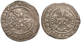 Zygmunt I Stary, Półgrosz Wilno 1529-V - rzadki RRR