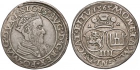 Zygmunt II August, Czworak Wilno 1565 - L/LITV