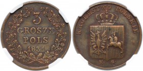 Powstanie Listopadowe, 3 grosze 1831 KG - łapy zgięte - RZADKOŚĆ - NGC AU53 BN R4