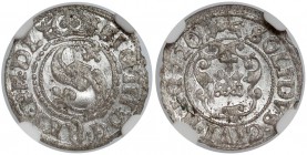 Zygmunt III Waza, Szeląg Ryga 1620 - 620 - NGC MS63
