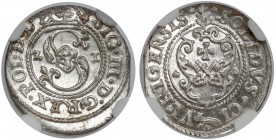 Zygmunt III Waza, Szeląg Ryga 1621 - listki do góry - NGC MS63