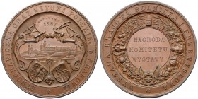Medal nagrodowy Wystawa Krajowa Rolnicza... Kraków 1887 (Pittner)