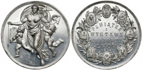 Medal Wystawia Krajowa we Lwowie 1894 r. (Schindler)