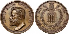 Medal, Emeryk Hrabia Hutten-Czapski 1896 - rzadki