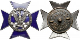 Odznaka, Naczelne Dowództwo Wojska Polskiego (1919)