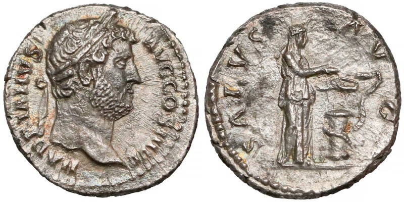 Hadrian, Denar Rzym (134-138) - Salus 
 Bardzo ładny awers, słabszy rewers. Awe...