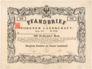 Poznań, Königliche Direktion der Posener Landschaft, List zastawny na 300 mk 1888
