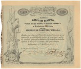 Żegluga Parowa na Rzekach Spławnych w Królestwie Polskiem pod firmą 'Andrzej hr. Zamoyski i Współka', 100 rubli 1861