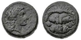 Monete Greche
Reggio - Bronzo databile al periodo 351-280 a.C. - Diritto: testa di leone frontale - Rovescio: testa di Apollo a destra - gr. 10,50 - ...