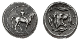 Monete Greche
Leontini - Didramma databile al periodo 476-468 a.C. - Diritto: cavaliere nudo a cavallo al passo verso destra - Rovescio: protome di l...