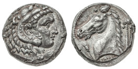 Monete Greche
Dominazione punica - Tetradramma databile al periodo 300-289 a.C. - Zecca: Entella - Diritto: testa di Eracle a destra ricoperta dalle ...