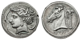 Monete Greche
Entella - Dominazione punica - Tetradramma siculo-punico databile al periodo 320/15-300 a.C. - Zecca: Entella - Diritto: testa di Aretu...