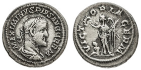 Monete Romane Imperiali
Denario databile agli anni 235-236 d.C. - Zecca: Roma - Diritto: busto laureato e drappeggiato dell'Imperatore a destra - Rov...