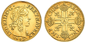 Europa

Francia

Louis XIII (1610-1643) - Louis d'or "à la mèche longue" 1642 - Zecca: Parigi - Diritto: testa laureata del Re a destra - Rovescio...