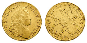 Europa

Francia

Louis XV (1715-1774) - Louis d'or à la croix du "chevalier" 1719 - Zecca: Bayonne - Diritto: testa giovanile laureata del Re a de...