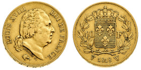 Europa

Francia

Louis XVIII (1815-1824) - 40 Franchi 1818 - Zecca: Lille - Diritto: effigie del Re a destra - Rovescio: stemma coronato entro due...