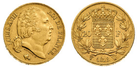 Europa

Francia

Louis XVIII (1815-1824) - 20 Franchi 1818 - Zecca: Lille - Diritto: testa del Re a destra - Rovescio: stemma coronato entro due r...