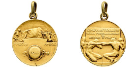 Medaglie

Medaglie Italiane

Regno d'Italia - Medaglia 1910 per il cinquantesimo anniversario della proclamazione del Regno d'Italia - gr. 6,85 - ...