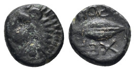 Thrace, Chersonesos (c.386-309 BC.) AE (10mm, 0,9 g). Head of lion left / XEPPO. Barley grain.