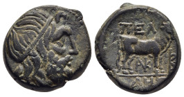 MACEDON. Pella. Ae (2nd century BC).

Obv: Head of Poseidon right, wearing tainia.
Rev: ΠEΛΛHΣ.
Cow standing right, monograms below and before. 

SNG ...