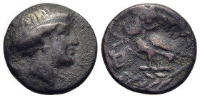MACEDON. Pydna. Ae (circa 364/3-356 BC).

Obv: Head of female right.
Rev: ΠΥΔΝΑI.
Owl standing left, head right; olive branch below.

HGC 3.1, 657.

C...