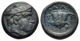 MACEDON. Tragilos. AE (circa 400 BC).

Obv: Head of Hermes right, wearing petasos.
Rev: ΤΡΑΙΛΙΟΝ.
Rose; crescent to right.

SNG ANS 911.

Aquired from...