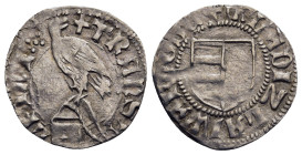 WALLACHIA. Vladislav I. (1364-1377). AR Ducat or Dinar.

Obv: +mLADIZLAI WAIWODE.
Coat of arms.
Rev: +TRAnS ALPInI.
Helmet with cross on bowl; ab...