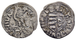 WALLACHIA. Radu I. (1377-1383). AR Ducat or Dinar.

Obv: IOҺS RADOLVSVAVO.
Coat of arms; sigla C;above, pellet.
Rev: IOҺS RADOLVS.
Helmet with cr...