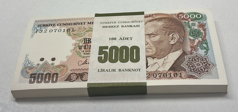Türkiye, 5.000 Lira, 1990, UNC, p198, 7.Emission

BUNDLE, (Total 100 Banknotes...
