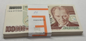 Türkiye, 100.000 Lira, 1996, p206, 7.Emission