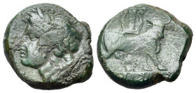 Italy. Samnium, Teanum Sidicinum, c. 265-240 BC. Æ (18mm, 4.80g., 6h). Laureate head of Apollo l. R/ Man-headed bull standing r.; lyre above, N below....