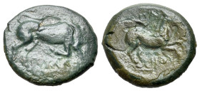 Italy. Northern Apulia, Arpi, c. 275-250 BC. Æ (19mm, 4.85g., 12h). Poullos, magistrate. Bull charging r. R/ Horse galloping r. HNItaly 645; SNG ANS 6...