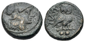 Italy. Northern Apulia, Teate, c. 225-200 BC. Æ Biunx (17mm, 5.85g., 1h). Helmeted head of Athena r. R/ Owl on bar; two pellets below. SNG ANS 749-751...